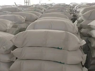 �V���������}�ۏS